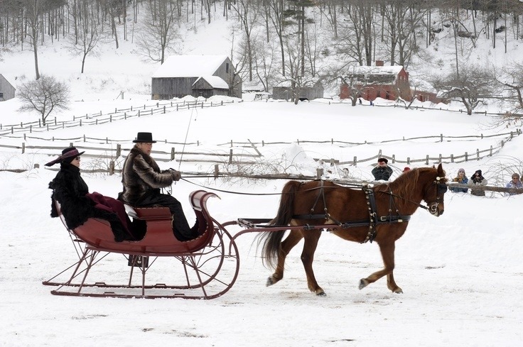 horse drawn sleigh with a horse wearing antique sleigh bells