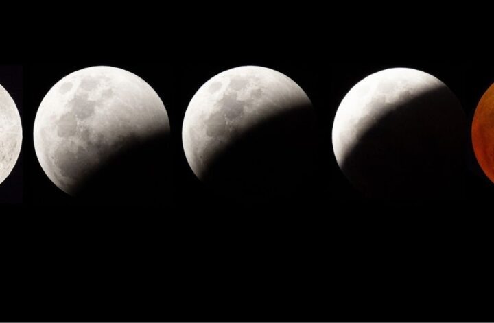 Image by Jean van der Meulen from Pixabay