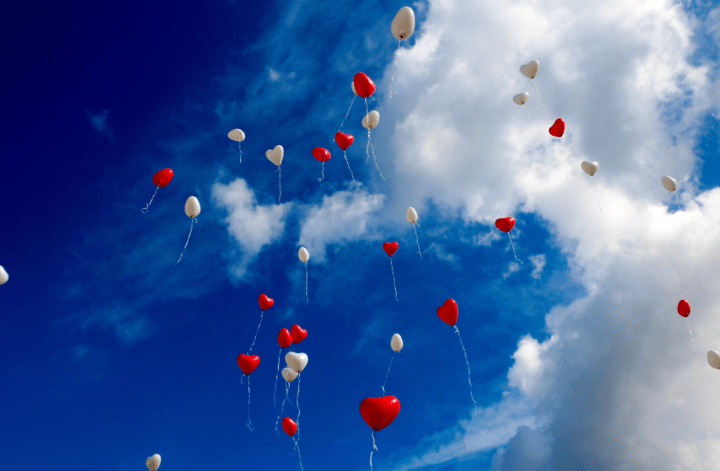 Image by Peggy und Marco Lachmann-Anke from Pixabay
