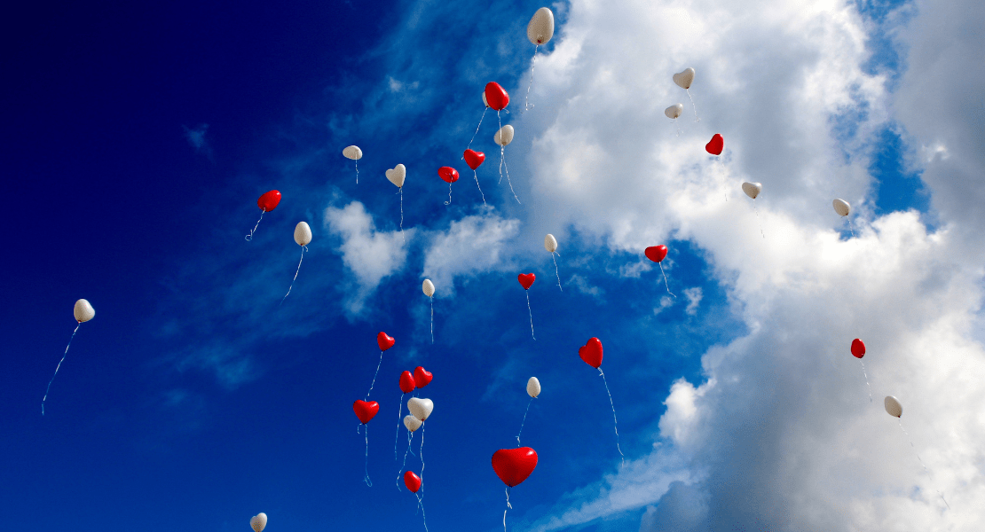 Image by Peggy und Marco Lachmann-Anke from Pixabay